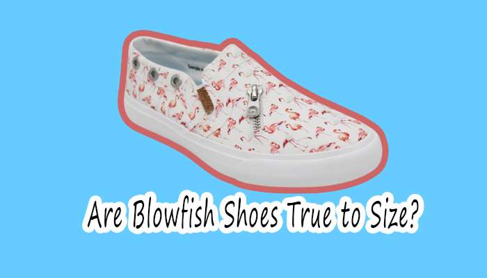 Are Blowfish Shoes True to Size