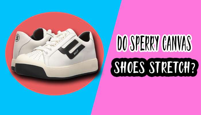 Do Sperry Canvas Shoes Stretch